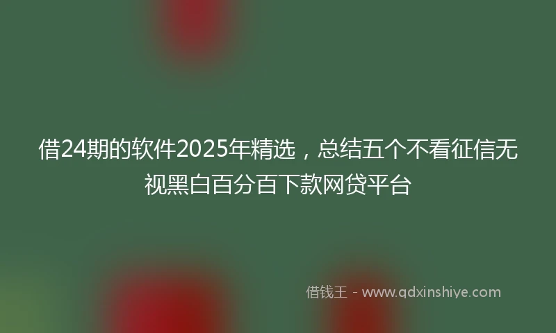 借24期的软件2025年精选，总结五个不看征信无视黑白百分百下款网贷平台