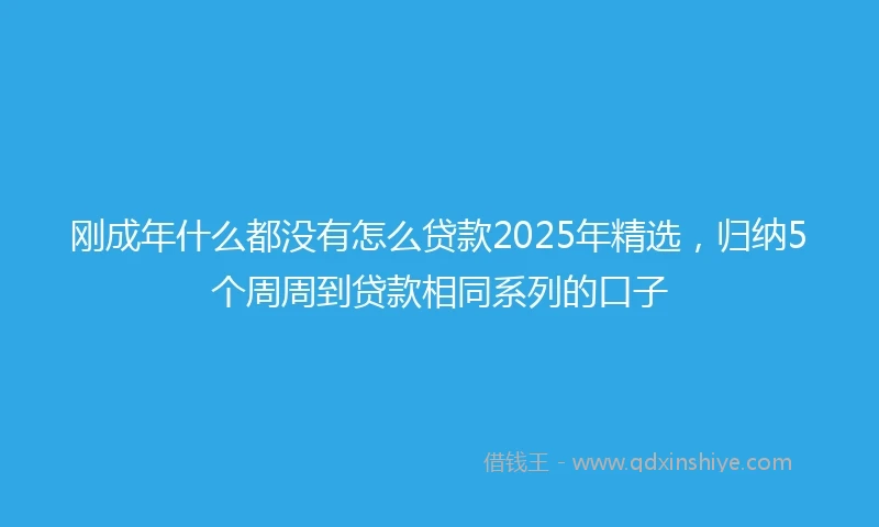 刚成年什么都没有怎么贷款2025年精选，归纳5个周周到贷款相同系列的口子