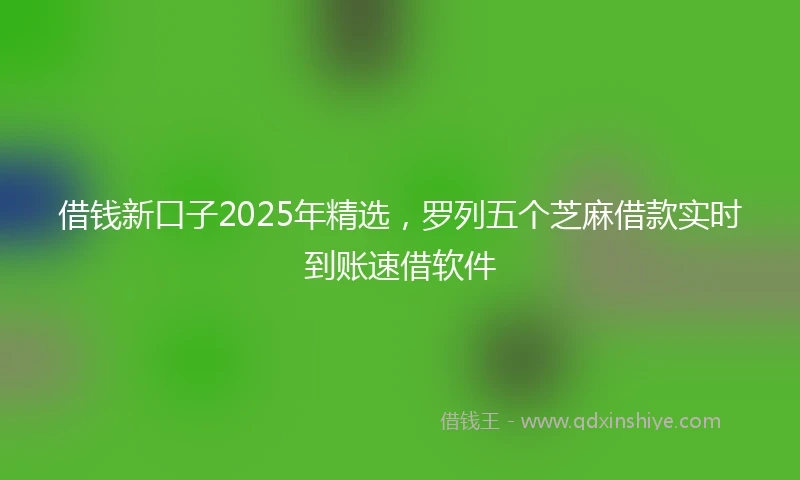 借钱新口子2025年精选，罗列五个芝麻借款实时到账速借软件