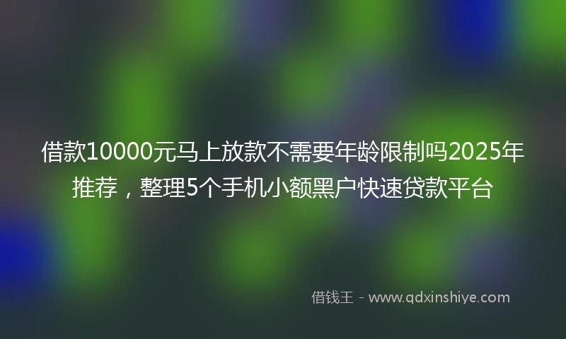 借款10000元马上放款不需要年龄限制吗2025年推荐，整理5个手机小额黑户快速贷款平台