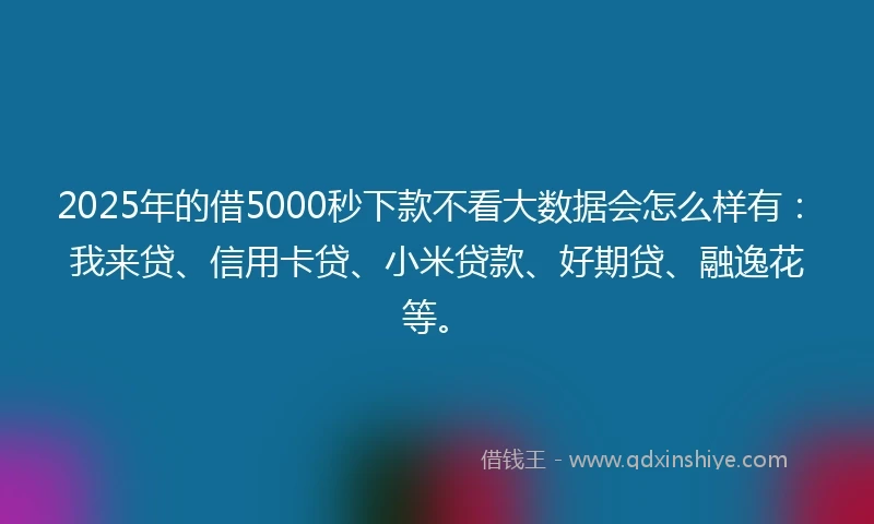 2025年的借5000秒下款不看大数据会怎么样有：我来贷、信用卡贷、小米贷款、好期贷、融逸花等。