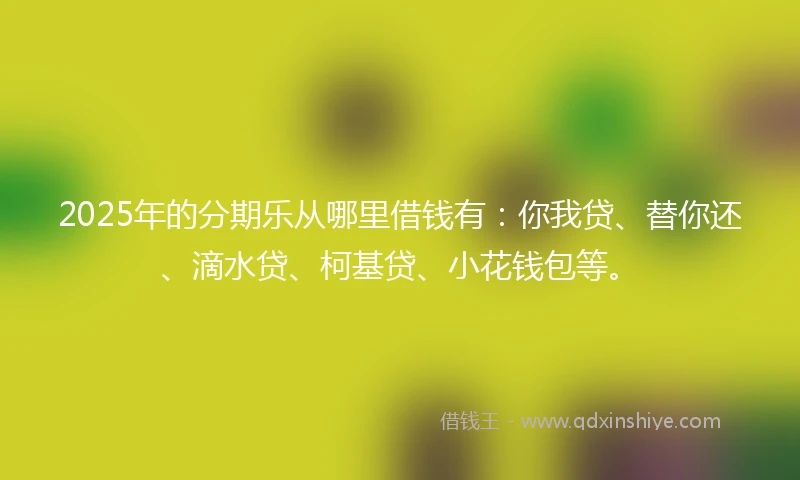 2025年的分期乐从哪里借钱有：你我贷、替你还、滴水贷、柯基贷、小花钱包等。