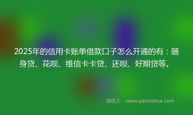 2025年的信用卡账单借款口子怎么开通的有：随身贷、花呗、维信卡卡贷、还呗、好期贷等。