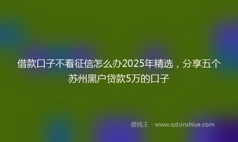 借款口子不看征信怎么办2025年精选，分享五个苏州黑户贷款5万的口子