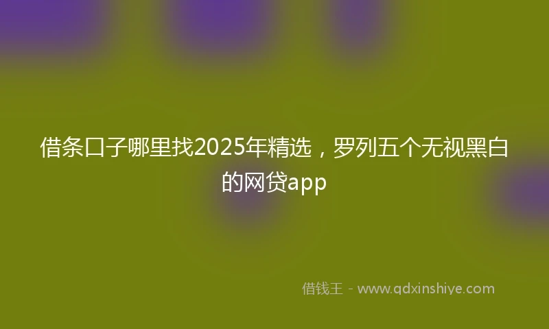 借条口子哪里找2025年精选，罗列五个无视黑白的网贷app
