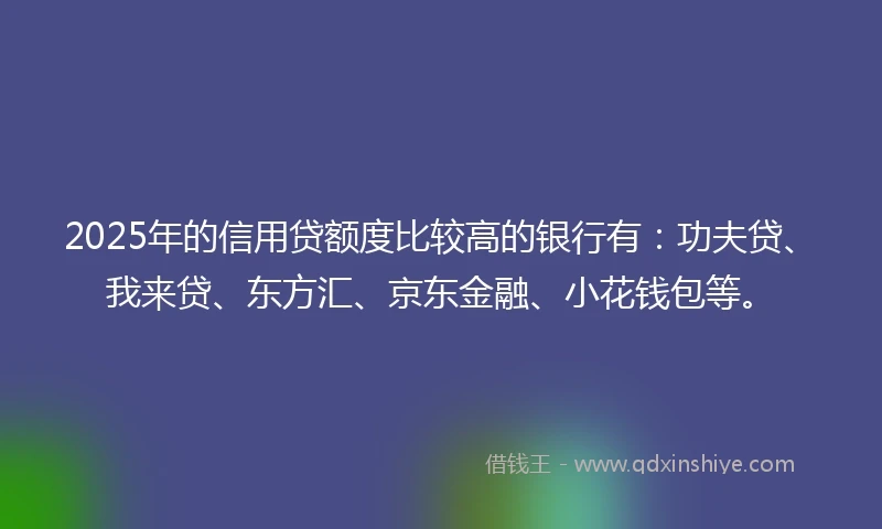 2025年的信用贷额度比较高的银行有：功夫贷、我来贷、东方汇、京东金融、小花钱包等。