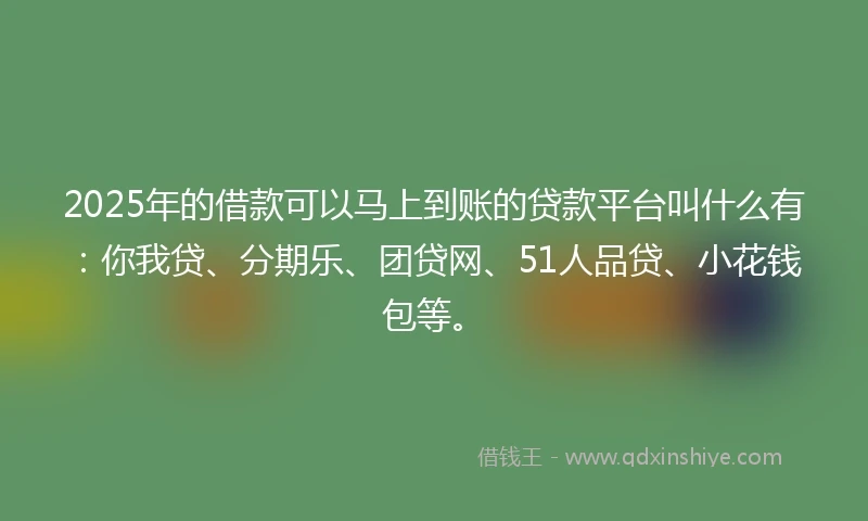 2025年的借款可以马上到账的贷款平台叫什么有：你我贷、分期乐、团贷网、51人品贷、小花钱包等。