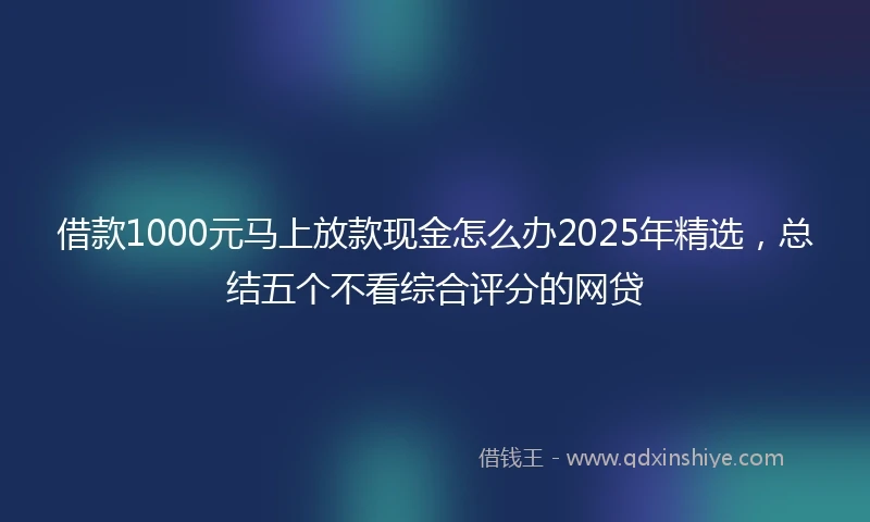借款1000元马上放款现金怎么办2025年精选，总结五个不看综合评分的网贷