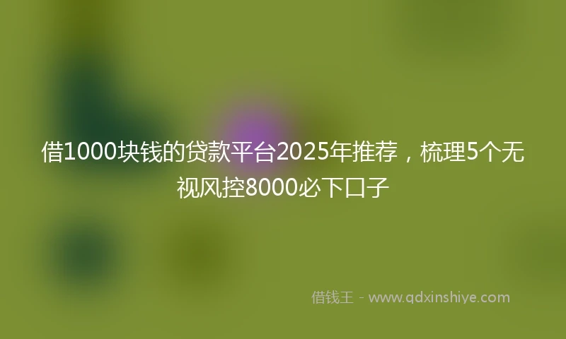 借1000块钱的贷款平台2025年推荐,梳理5个无视风控8000必下口子