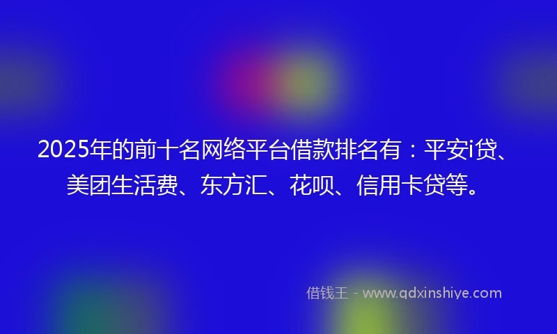 2025年的前十名网络平台借款排名有：平安i贷、美团生活费、东方汇、花呗、信用卡贷等。