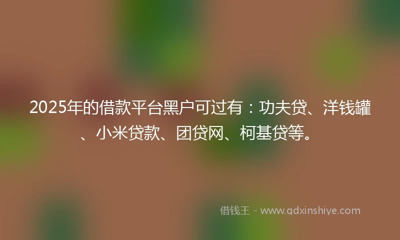 2025年的借款平台黑户可过有：功夫贷、洋钱罐、小米贷款、团贷网、柯基贷等。