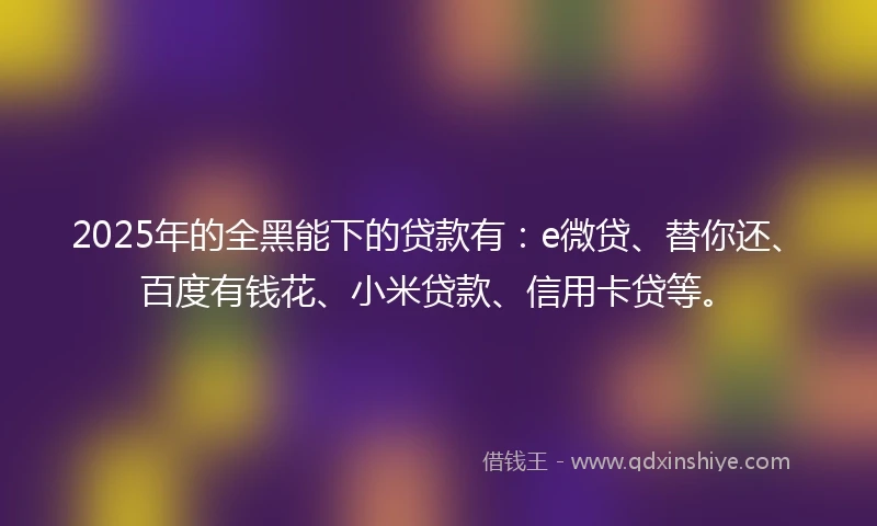 2025年的全黑能下的贷款有：e微贷、替你还、百度有钱花、小米贷款、信用卡贷等。