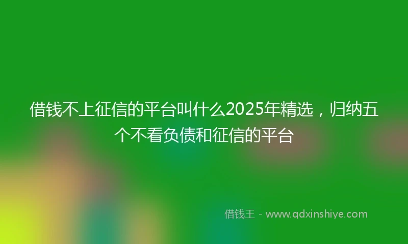 借钱不上征信的平台叫什么2025年精选，归纳五个不看负债和征信的平台