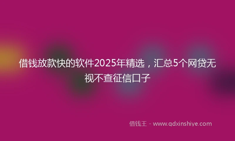 借钱放款快的软件2025年精选，汇总5个网贷无视不查征信口子
