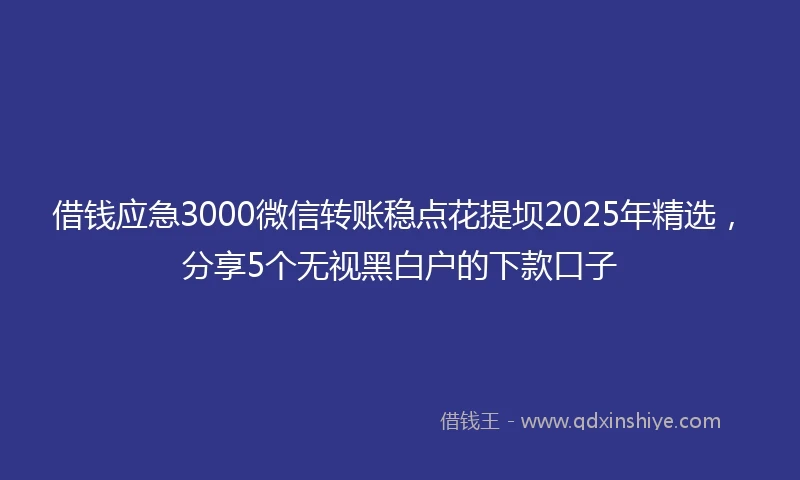 借钱应急3000微信转账稳点花提坝2025年精选，分享5个无视黑白户的下款口子
