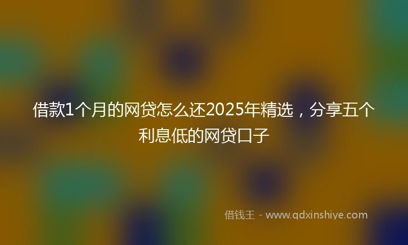 借款1个月的网贷怎么还2025年精选，分享五个利息低的网贷口子