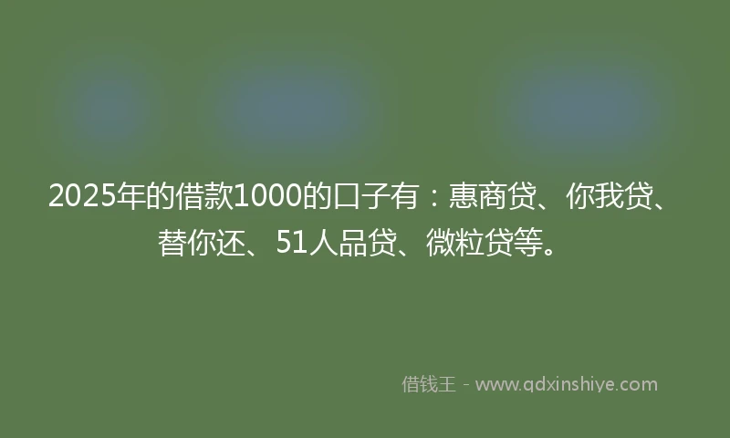 2025年的借款1000的口子有：惠商贷、你我贷、替你还、51人品贷、微粒贷等。