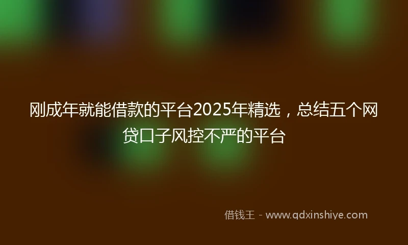 刚成年就能借款的平台2025年精选，总结五个网贷口子风控不严的平台