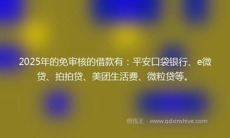 2025年的免审核的借款有：平安口袋银行、e微贷、拍拍贷、美团生活费、微粒贷等。