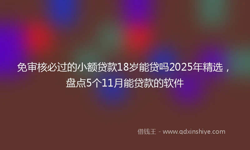 免审核必过的小额贷款18岁能贷吗2025年精选，盘点5个11月能贷款的软件