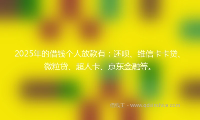 2025年的借钱个人放款有：还呗、维信卡卡贷、微粒贷、超人卡、京东金融等。
