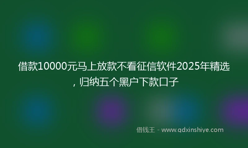 借款10000元马上放款不看征信软件2025年精选，归纳五个黑户下款口子