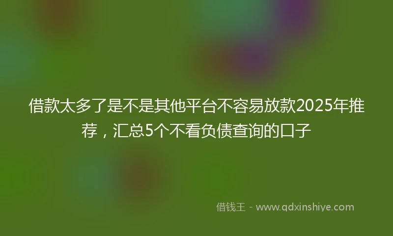 借款太多了是不是其他平台不容易放款2025年推荐,汇总5个不看负债查询的口子