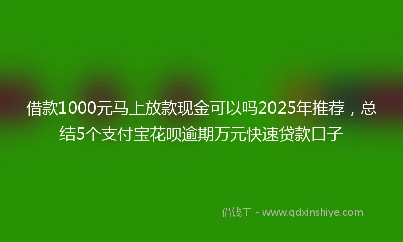 借款1000元马上放款现金可以吗2025年推荐，总结5个支付宝花呗逾期万元快速贷款口子