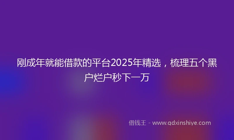 刚成年就能借款的平台2025年精选，梳理五个黑户烂户秒下一万