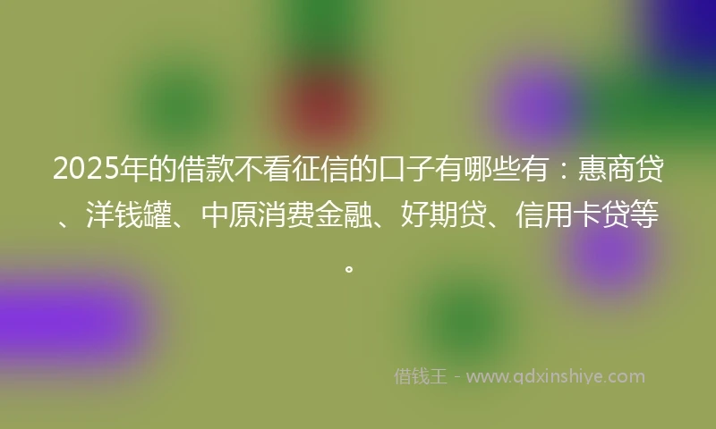 2025年的借款不看征信的口子有哪些有：惠商贷、洋钱罐、中原消费金融、好期贷、信用卡贷等。