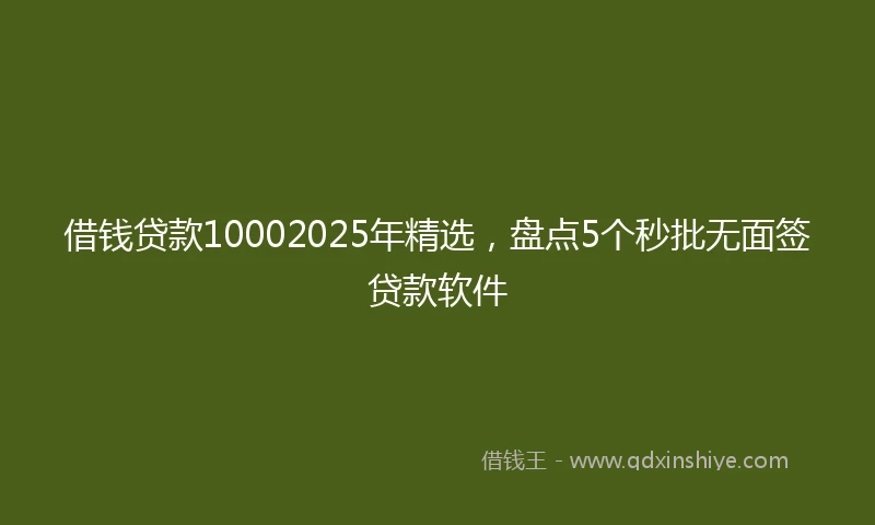借钱贷款10002025年精选，盘点5个秒批无面签贷款软件