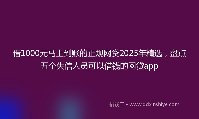借1000元马上到账的正规网贷2025年精选，盘点五个失信人员可以借钱的网贷app