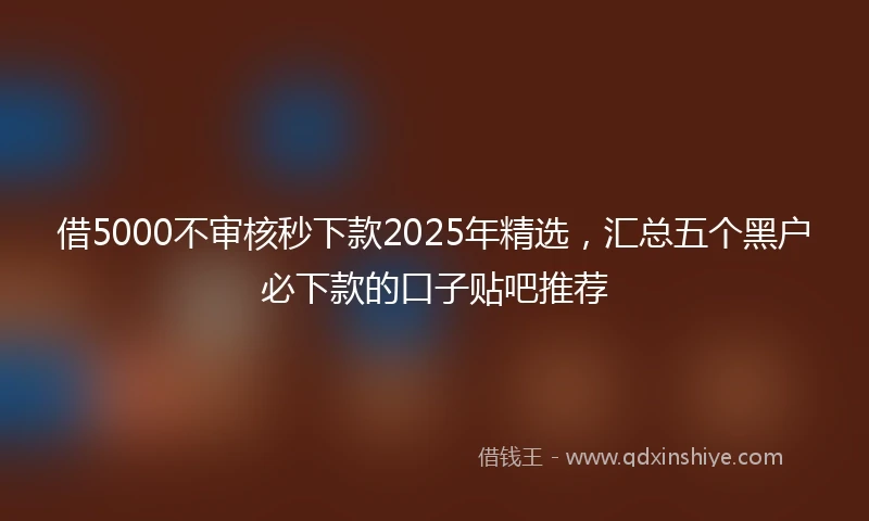 借5000不审核秒下款2025年精选，汇总五个黑户必下款的口子贴吧推荐