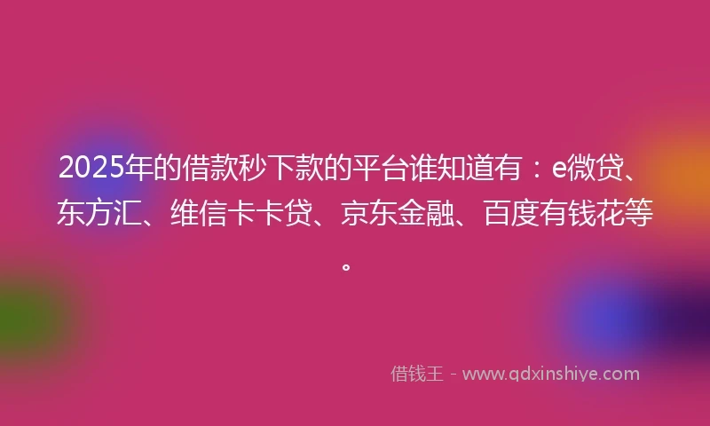 2025年的借款秒下款的平台谁知道有：e微贷、东方汇、维信卡卡贷、京东金融、百度有钱花等。