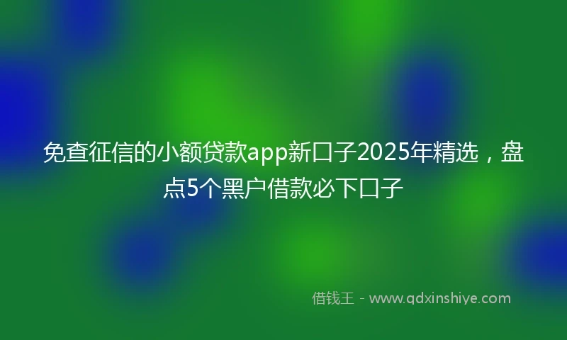 免查征信的小额贷款app新口子2025年精选，盘点5个黑户借款必下口子