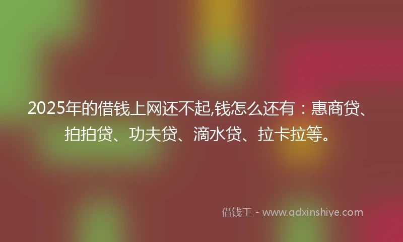 2025年的借钱上网还不起,钱怎么还有：惠商贷、拍拍贷、功夫贷、滴水贷、拉卡拉等。