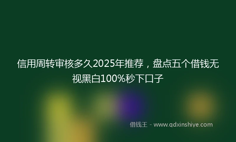信用周转审核多久2025年推荐，盘点五个借钱无视黑白100%秒下口子