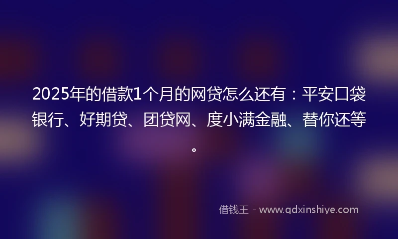 2025年的借款1个月的网贷怎么还有：平安口袋银行、好期贷、团贷网、度小满金融、替你还等。