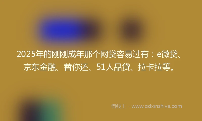 2025年的刚刚成年那个网贷容易过有：e微贷、京东金融、替你还、51人品贷、拉卡拉等。