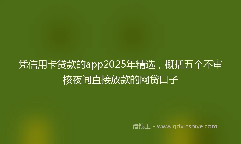 凭信用卡贷款的app2025年精选，概括五个不审核夜间直接放款的网贷口子