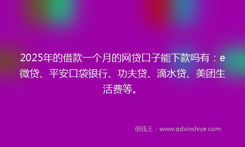 2025年的借款一个月的网贷口子能下款吗有：e微贷、平安口袋银行、功夫贷、滴水贷、美团生活费等。