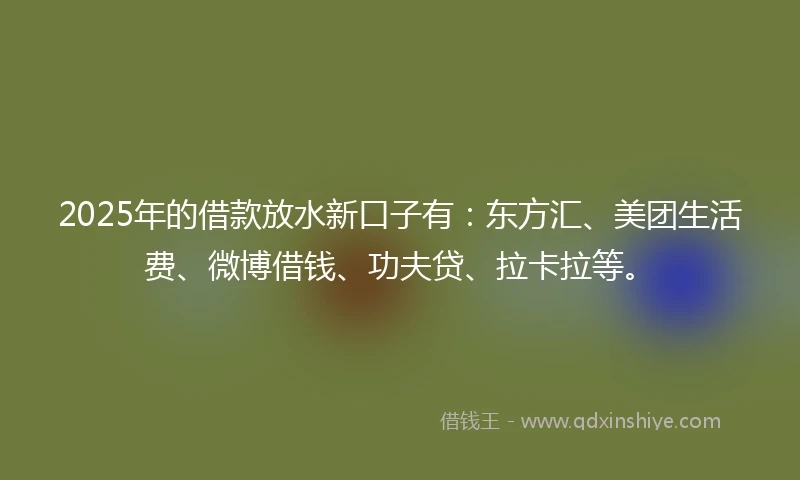2025年的借款放水新口子有：东方汇、美团生活费、微博借钱、功夫贷、拉卡拉等。