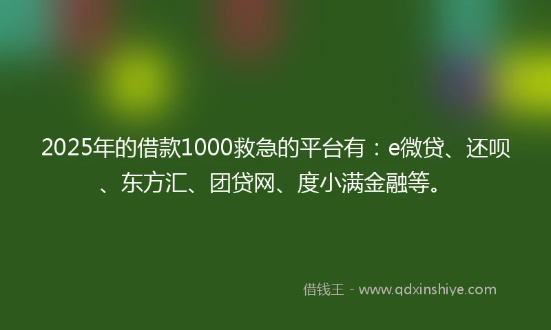 2025年的借款1000救急的平台有：e微贷、还呗、东方汇、团贷网、度小满金融等。