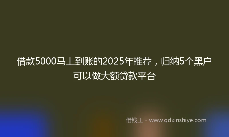 借款5000马上到账的2025年推荐，归纳5个黑户可以做大额贷款平台