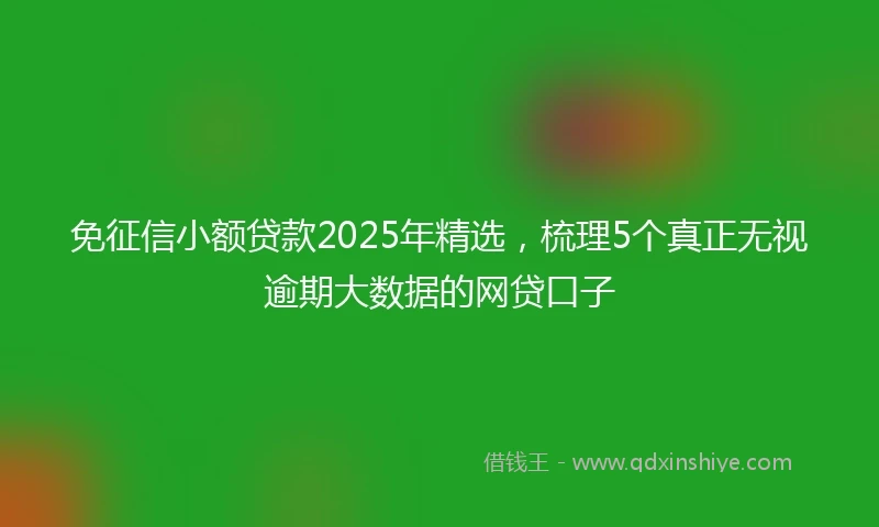 免征信小额贷款2025年精选，梳理5个真正无视逾期大数据的网贷口子