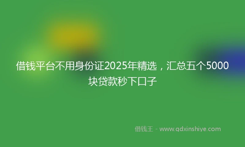借钱平台不用身份证2025年精选，汇总五个5000块贷款秒下口子