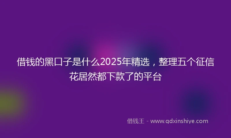 借钱的黑口子是什么2025年精选，整理五个征信花居然都下款了的平台