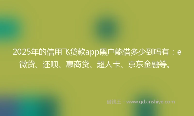 2025年的信用飞贷款app黑户能借多少到吗有：e微贷、还呗、惠商贷、超人卡、京东金融等。