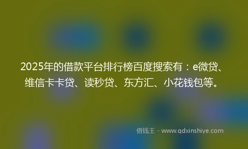 2025年的借款平台排行榜百度搜索有：e微贷、维信卡卡贷、读秒贷、东方汇、小花钱包等。