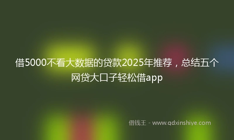 借5000不看大数据的贷款2025年推荐，总结五个网贷大口子轻松借app